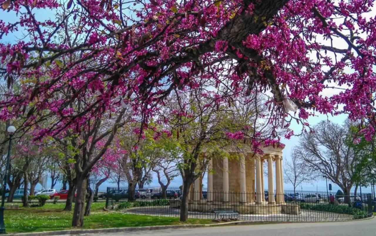 Corfu Studio In Historic Unesco City Centre מראה חיצוני תמונה
